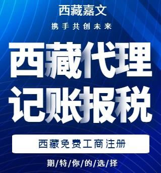 西藏代理記賬收費標(biāo)準(zhǔn)與條件解析